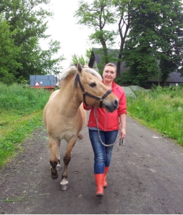 Ubezpieczenie koni – jak zapewnić ochronę i bezpieczeństwo Ubezpieczenie koni – jak zapewnić ochronę i bezpieczeństwo