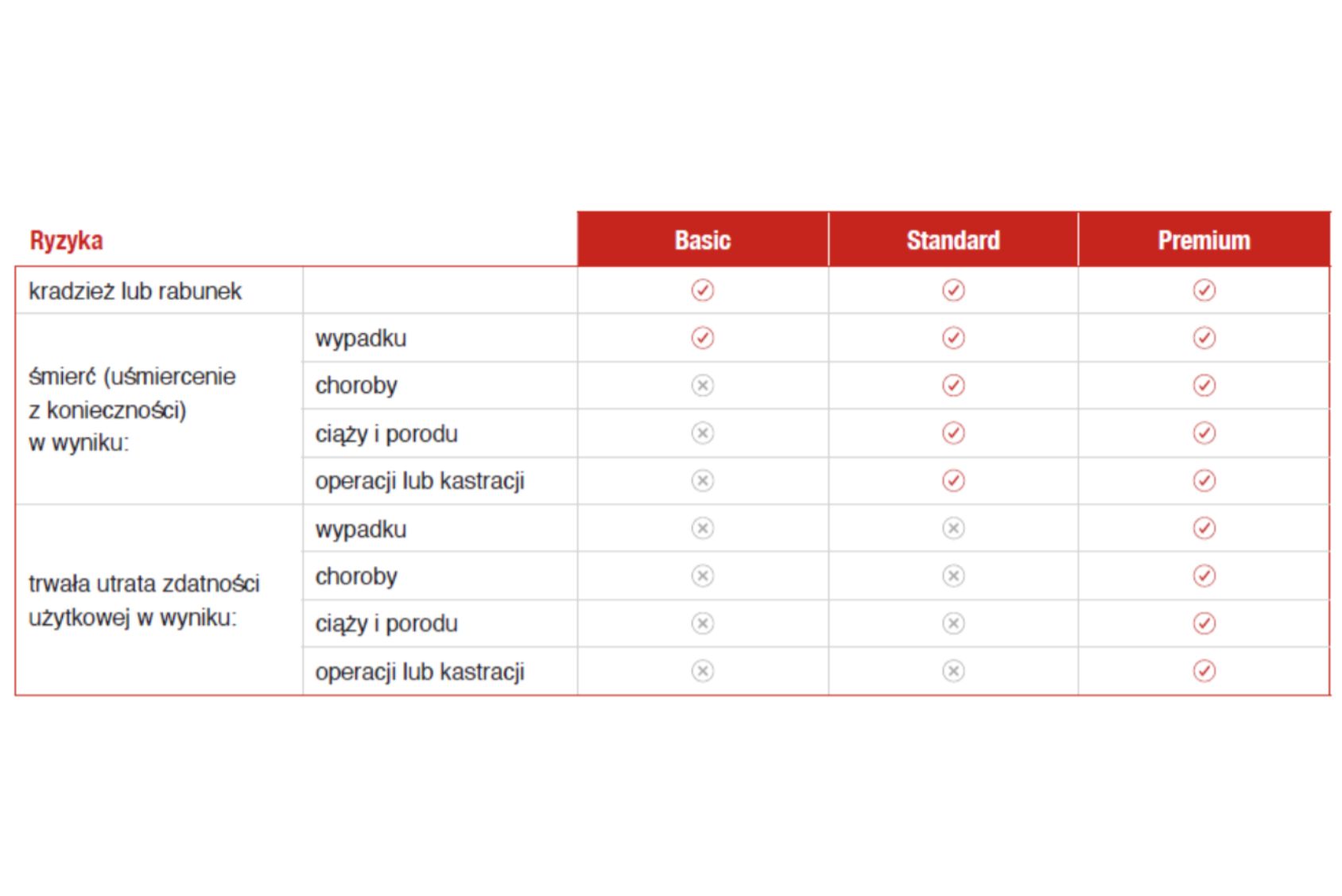 Ubezpieczenie koni – jak zapewnić ochronę i bezpieczeństwo Ubezpieczenie koni – jak zapewnić ochronę i bezpieczeństwo