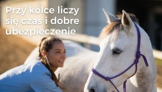 Kolka u konia i laparotomia – kiedy operacja ratuje życie?
