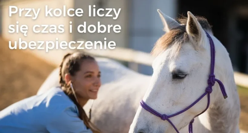 Kolka u konia i laparotomia – kiedy operacja ratuje życie?