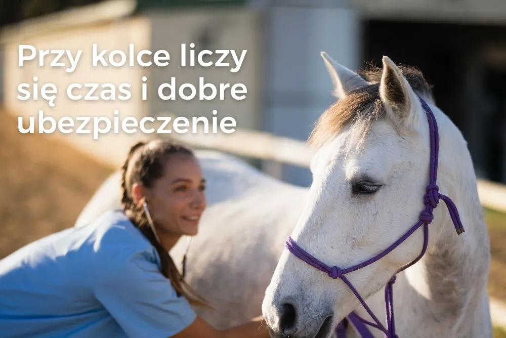 Kolka u konia i laparotomia – kiedy operacja ratuje życie? Kolka u konia i laparotomia – kiedy operacja ratuje życie?