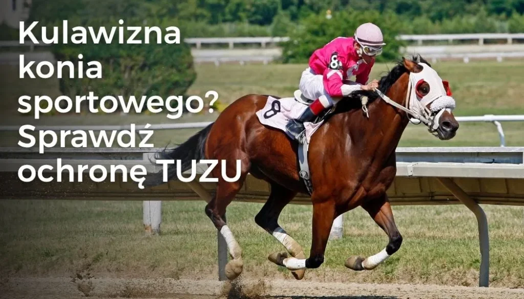 Kulawizna konia sportowego? Sprawdź ochronę TUZU Kulawizna konia sportowego? Sprawdź ochronę TUZU