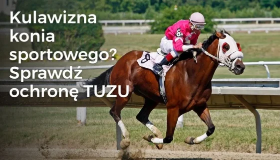 Kulawizna konia sportowego? Sprawdź ochronę TUZU