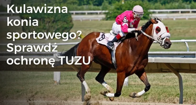 Kulawizna konia sportowego? Sprawdź ochronę TUZU