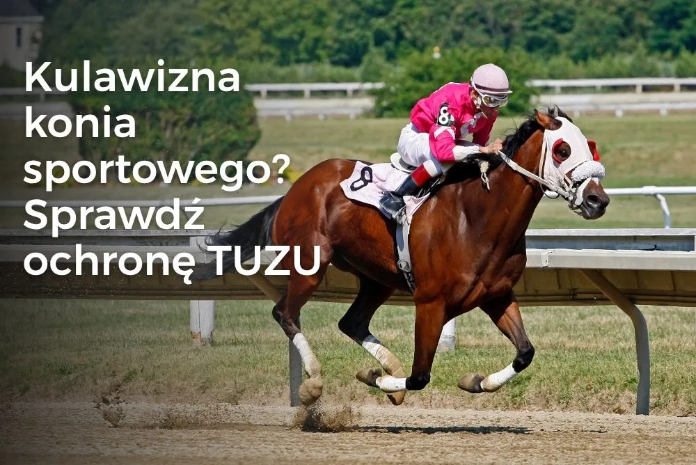 Kulawizna konia sportowego? Sprawdź ochronę TUZU Kulawizna konia sportowego? Sprawdź ochronę TUZU