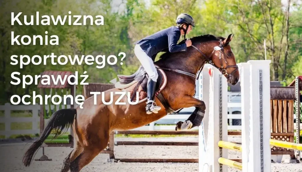 Kulawizna konia sportowego? Sprawdź ochronę TUZU