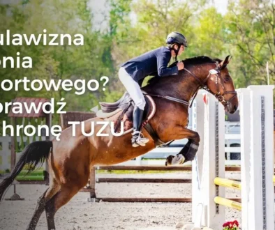 Kulawizna konia sportowego? Sprawdź ochronę TUZU