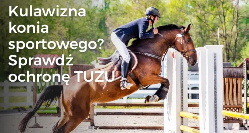 Kulawizna konia sportowego? Sprawdź ochronę TUZU
