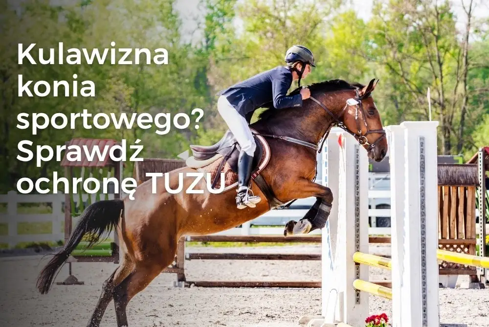 Kulawizna konia sportowego? Sprawdź ochronę TUZU