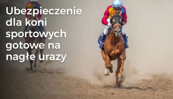 Zerwanie ścięgna u konia sportowego – objawy, operacja i leczenie