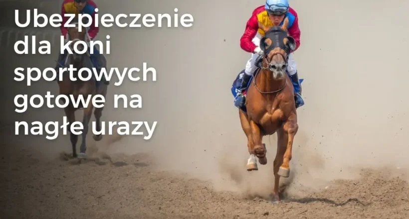 Zerwanie ścięgna u konia sportowego – objawy, operacja i leczenie