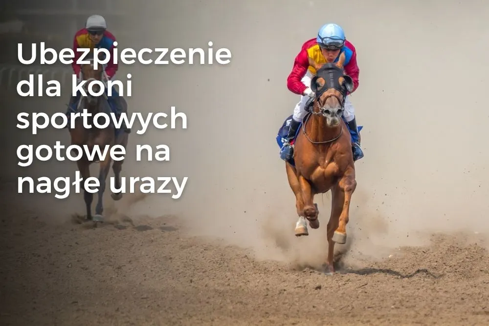 Zerwanie ścięgna u konia sportowego – objawy, operacja i leczenie Zerwanie ścięgna u konia sportowego – objawy, operacja i leczenie