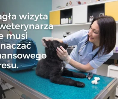 Nagła wizyta u weterynarza nie musi oznaczać finansowego stresu.
