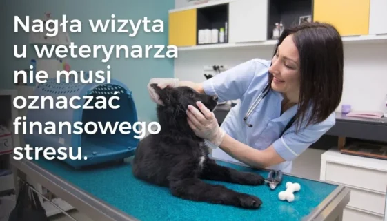 Nagła wizyta u weterynarza nie musi oznaczać finansowego stresu.