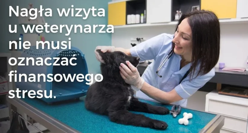 Nagła wizyta u weterynarza nie musi oznaczać finansowego stresu.