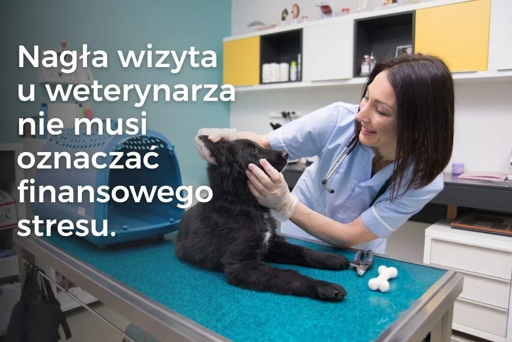 Nagła wizyta u weterynarza nie musi oznaczać finansowego stresu.