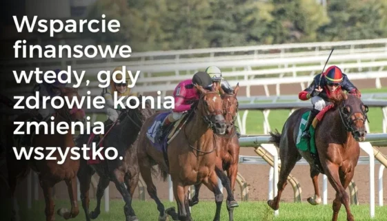 Wsparcie finansowe wtedy, gdy zdrowie konia zmienia wszystko.