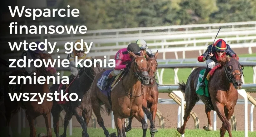 Wsparcie finansowe wtedy, gdy zdrowie konia zmienia wszystko.