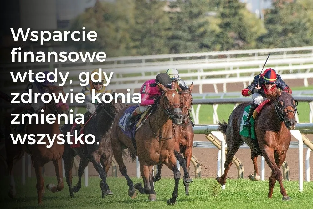 Wsparcie finansowe wtedy, gdy zdrowie konia zmienia wszystko. Wsparcie finansowe wtedy, gdy zdrowie konia zmienia wszystko.