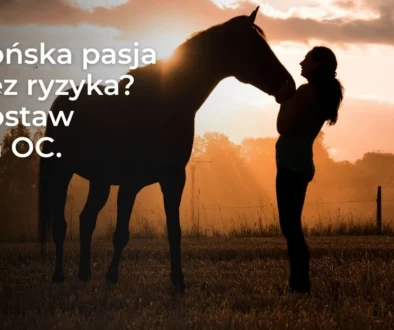 Ubezpieczenie OC posiadacza konia – ochrona przed szkodami wyrządzonymi przez konia