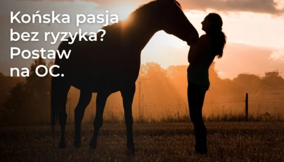 Ubezpieczenie OC posiadacza konia – ochrona przed szkodami wyrządzonymi przez konia