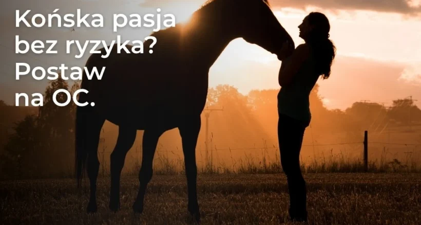 Ubezpieczenie OC posiadacza konia – ochrona przed szkodami wyrządzonymi przez konia
