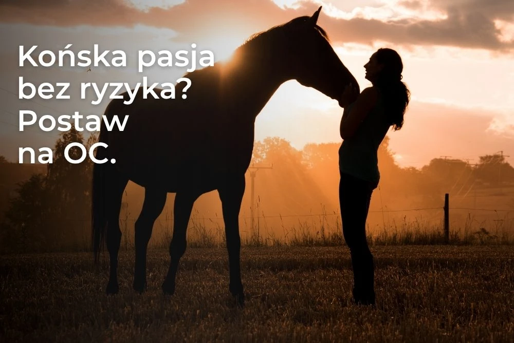 Ubezpieczenie OC posiadacza konia – ochrona przed szkodami wyrządzonymi przez konia